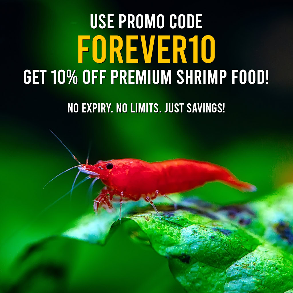 Shrimp Food - Special Offer