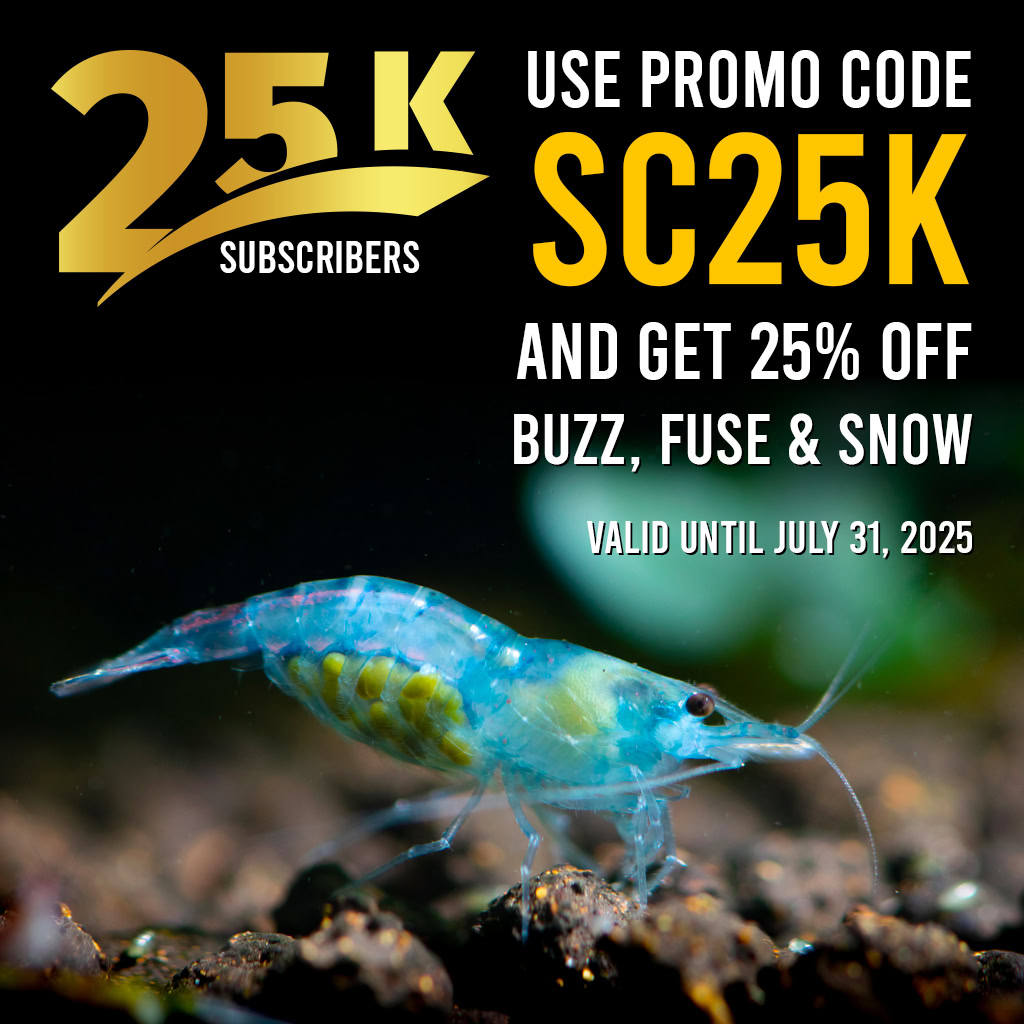 FUSE Shrimp Food - Special Offer