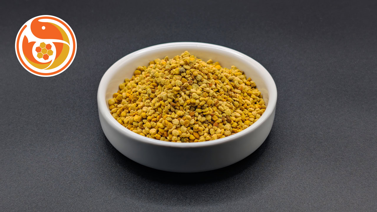 BUZZ Shrimp Food