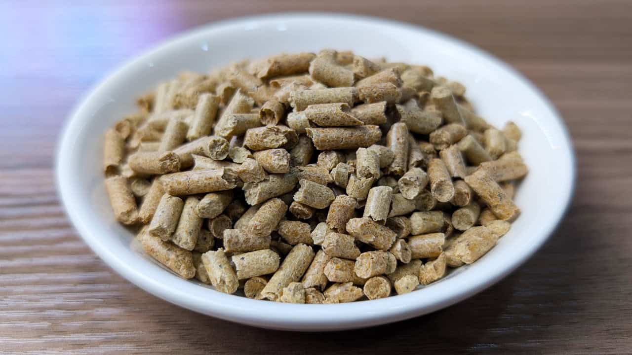 SNOW - Natural Shrimp Food