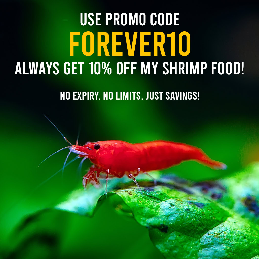 Shrimp Food - Special Offer